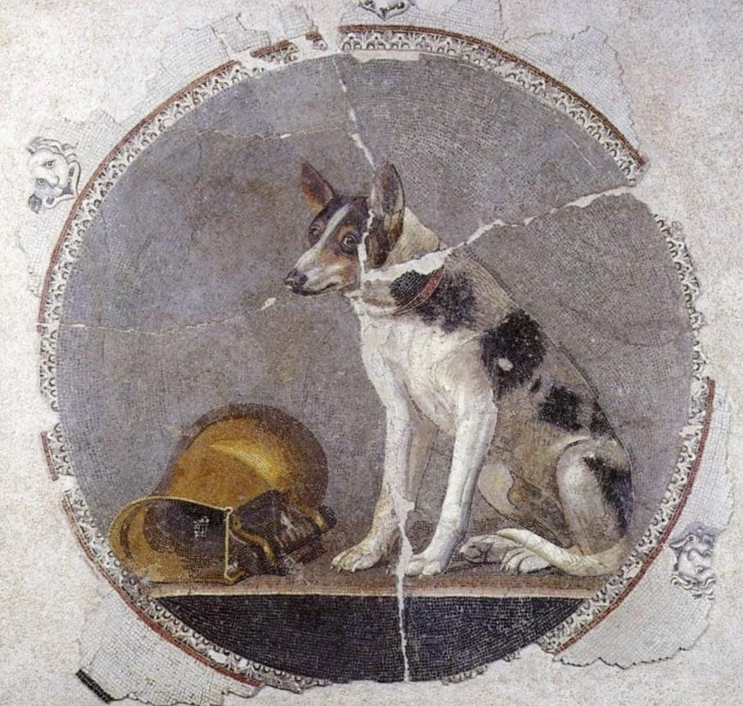 This is a 2,000-year-<b>old Egyptian</b> floor mosaic <b>depicting</b> a <b>dog</b> and ...