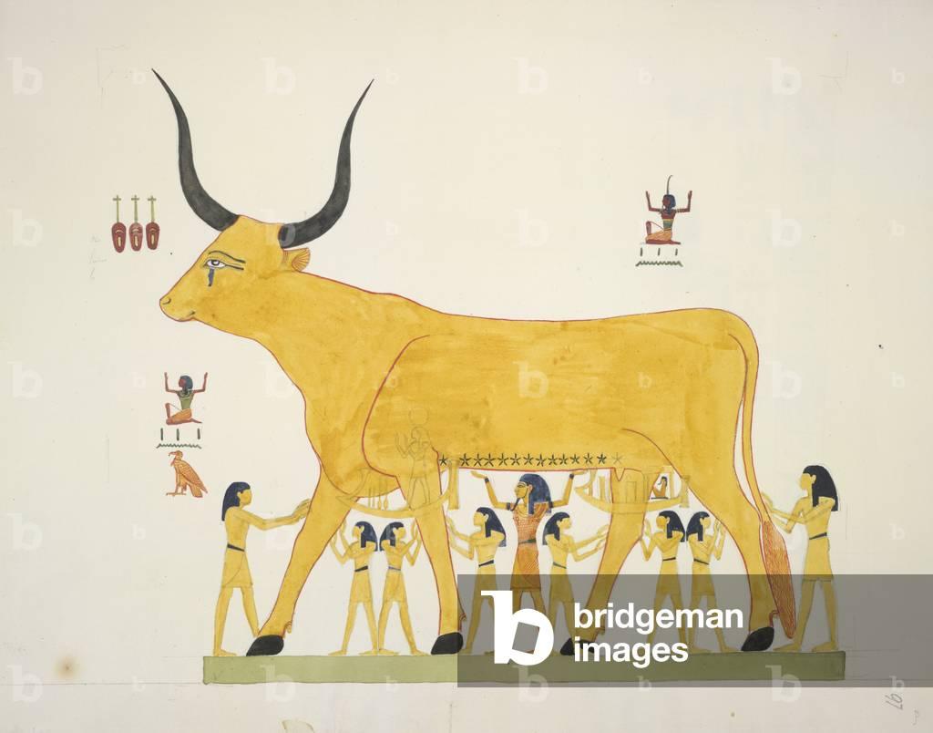 Image of Representation of <b>the Celestial</b> Cow from <b>the</b> tomb of Seti